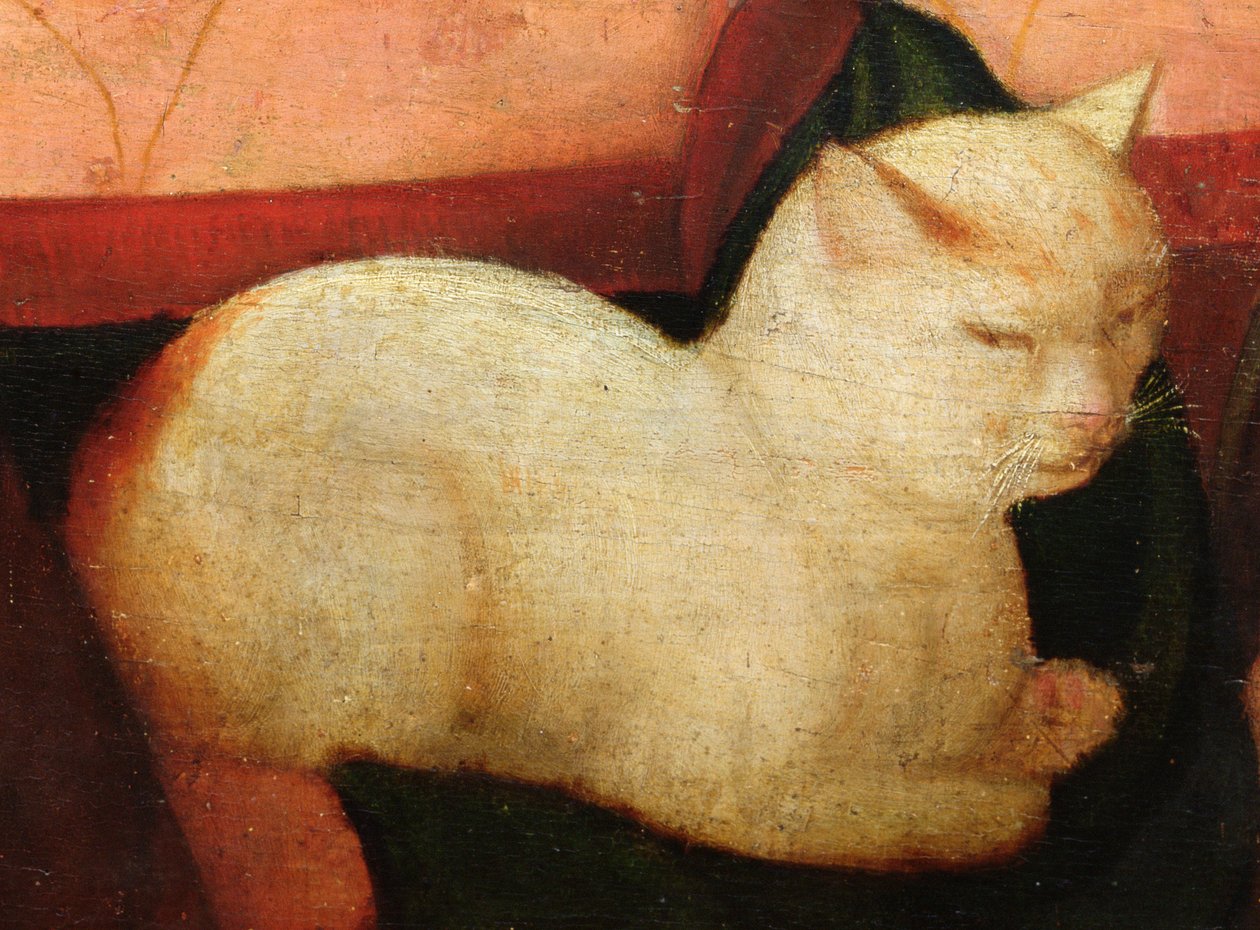 En hvid kat, detalje fra 