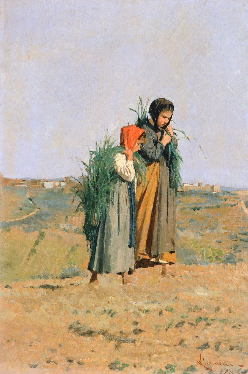 Erbaiole af Niccolo Cannicci
