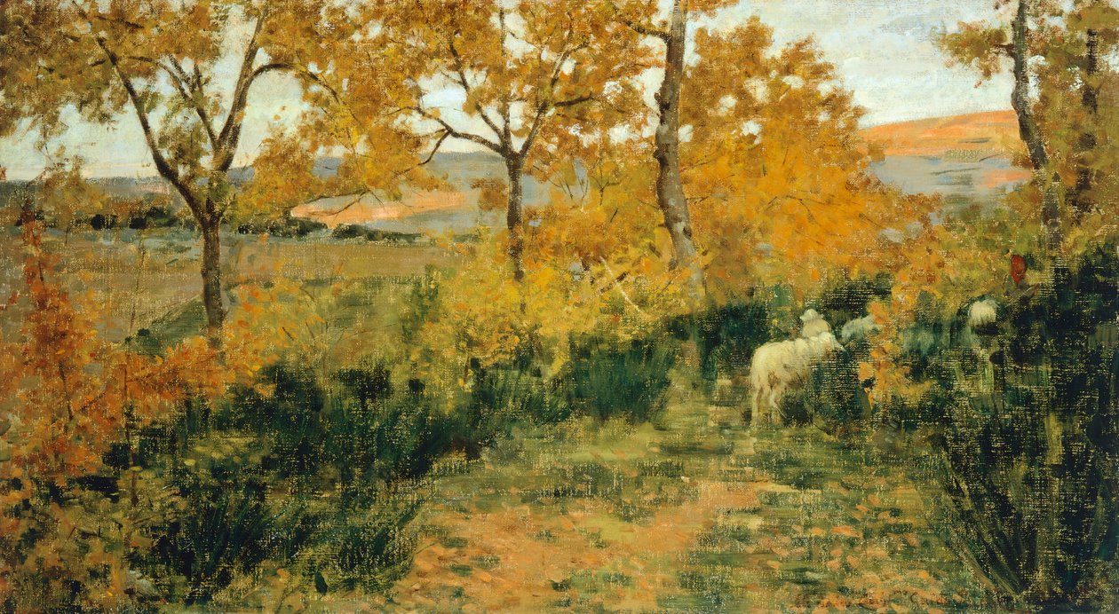 Golden Forest i Montemiccioli af Niccolo Cannicci