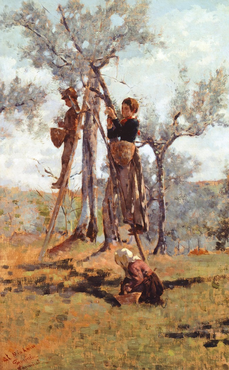 Olivenhøsten, ca 1892 (olie på lærred) af Niccolo Cannicci