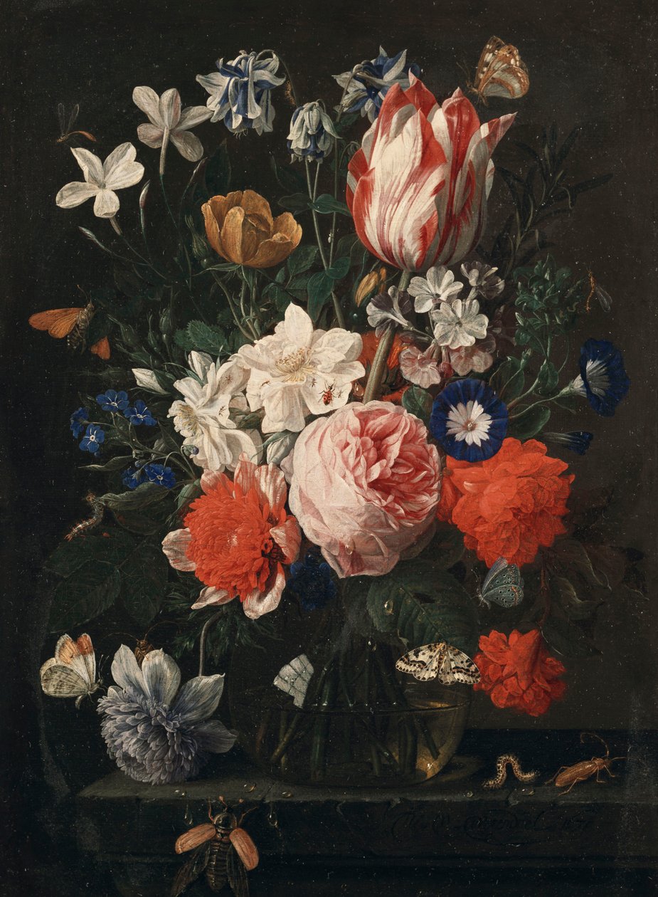 En rose, en tulipan, morgenfrue og andre blomster i en glasvase på en stenafsats, 1671 af Nicholaes van Verendael