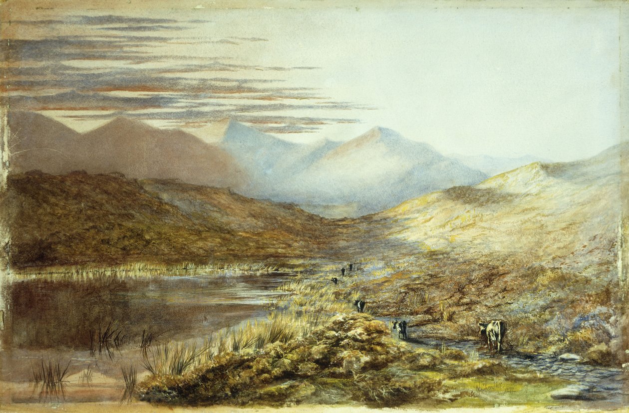 Lake Pukaki, New Zealand, 1872 af Nicholas Chevalier