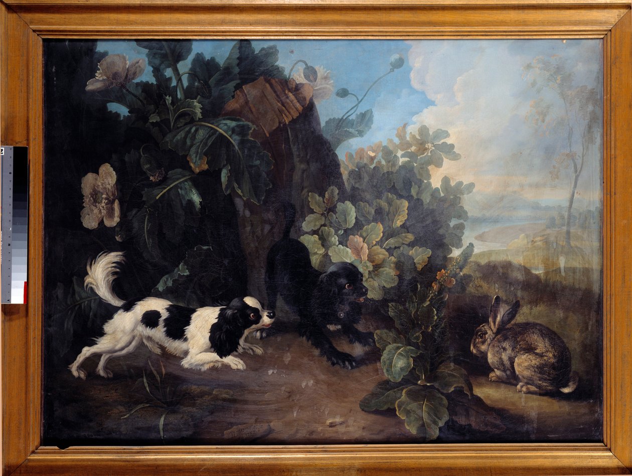 To hunde og en kanin-maleri af Nicolas Desportes dit le Nepheu (1718-1787) 1757 søn. 0,97x1,3 m Paris, Musée du Louvre af Nicholas Desportes