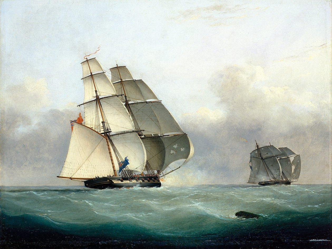 HMS 