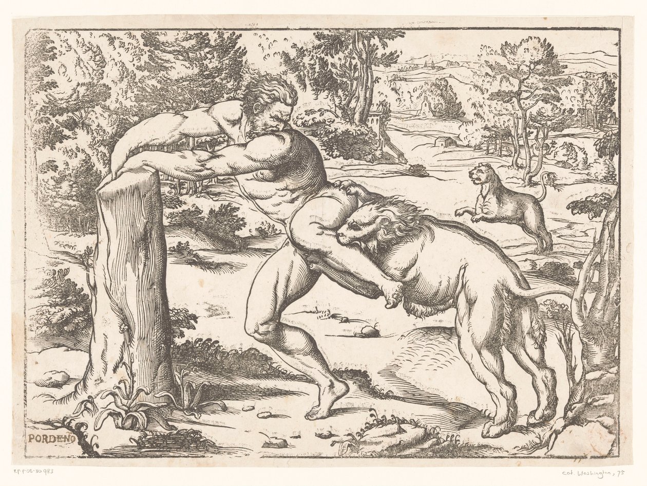 Milo af Croton angrebet af en løve af Nicolò Boldrini (attributed to)