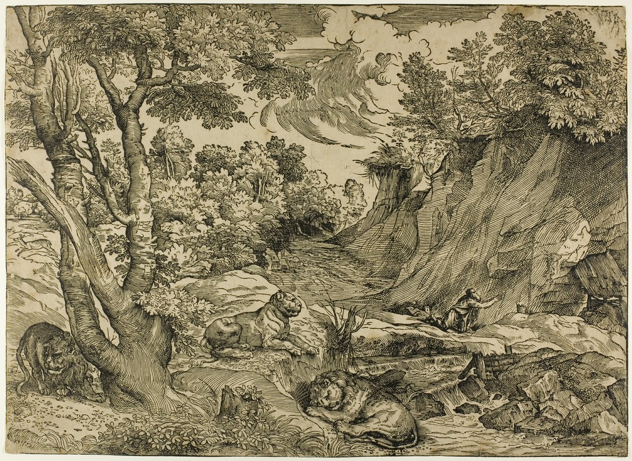 Sankt Hieronymus i ørkenen af Nicolò Boldrini