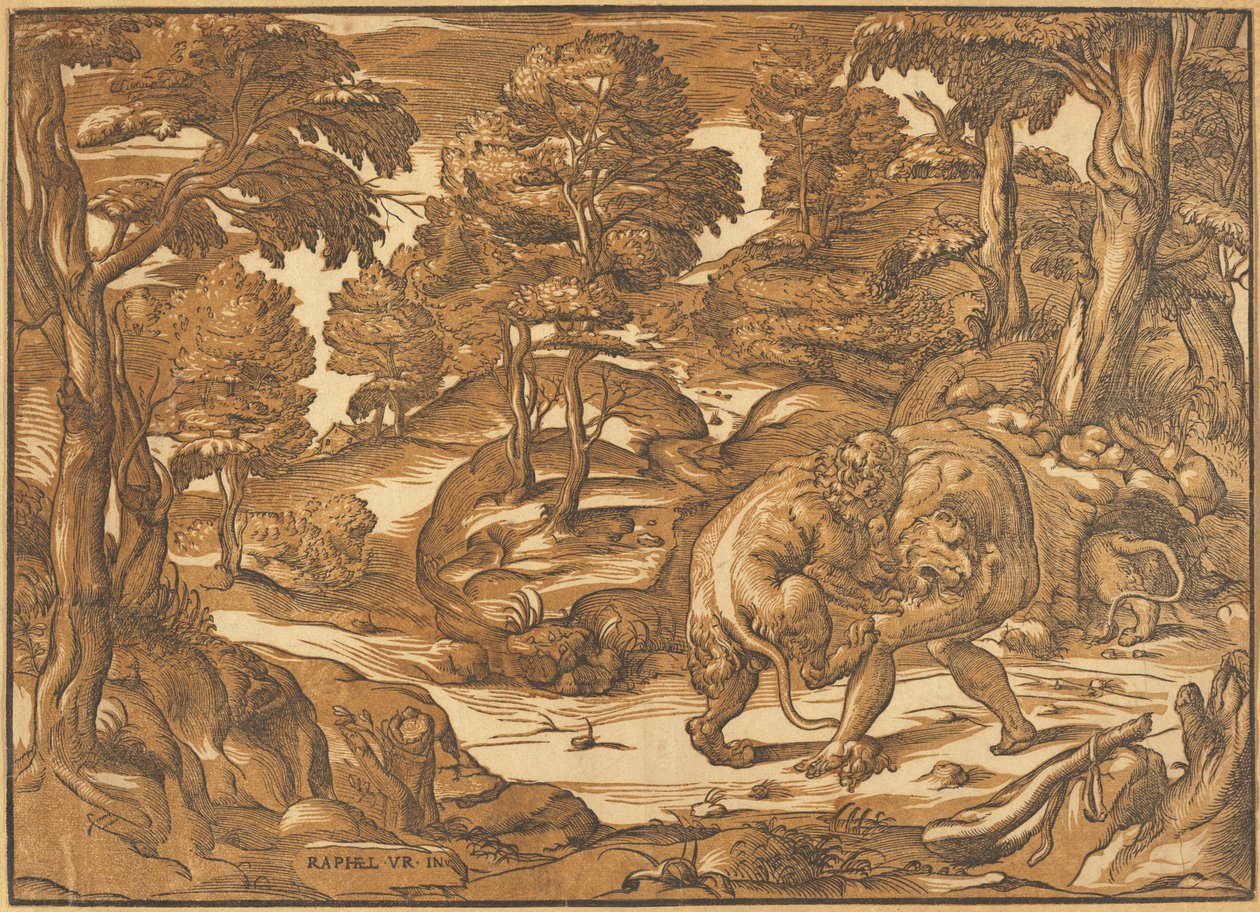 Hercules og Nemean Lion af Nicolò Boldrini, after Raphael