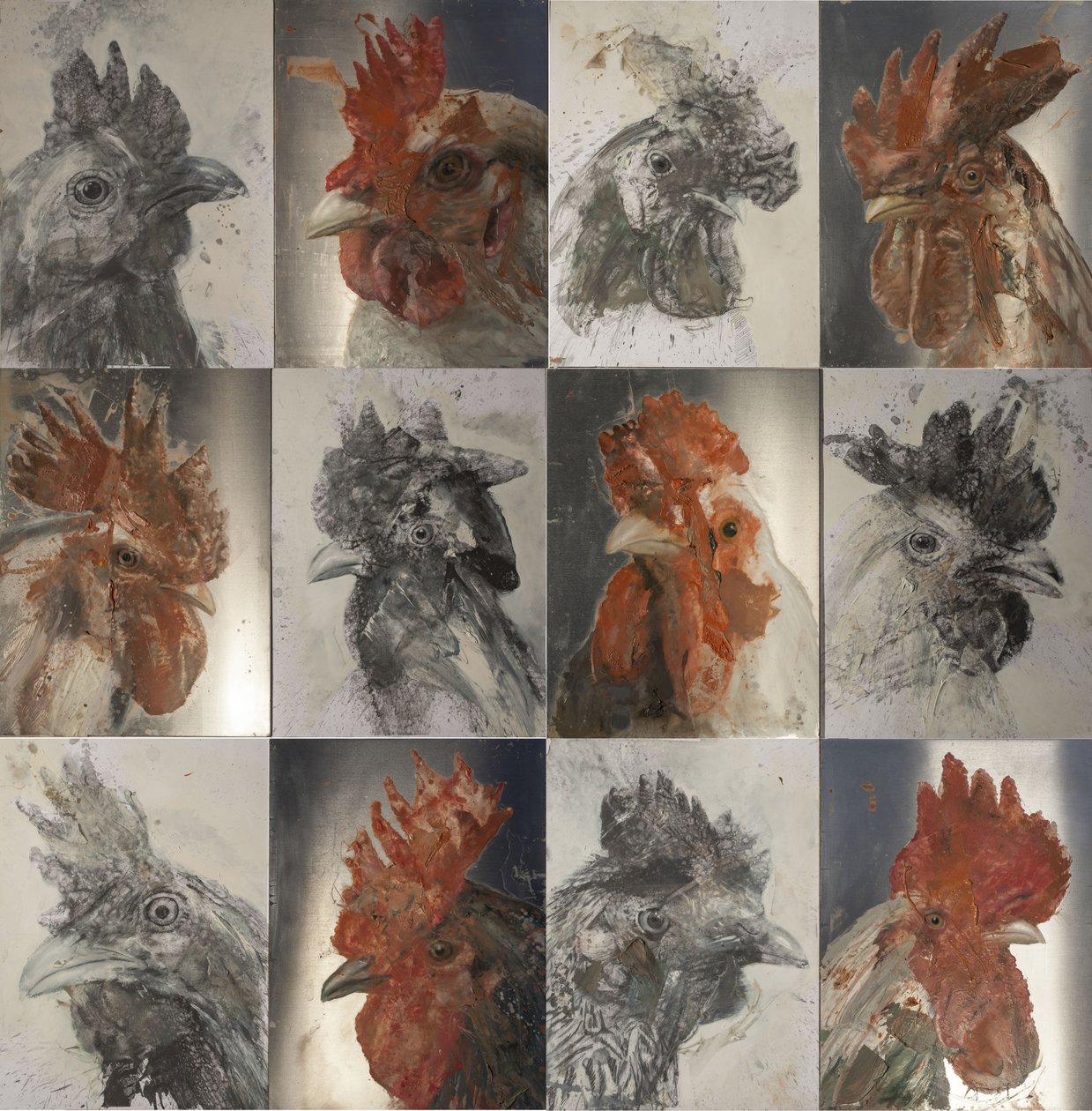 Grillhaner, 2019 (olie på aluminium og grafit på papir) af Nicola Pucci