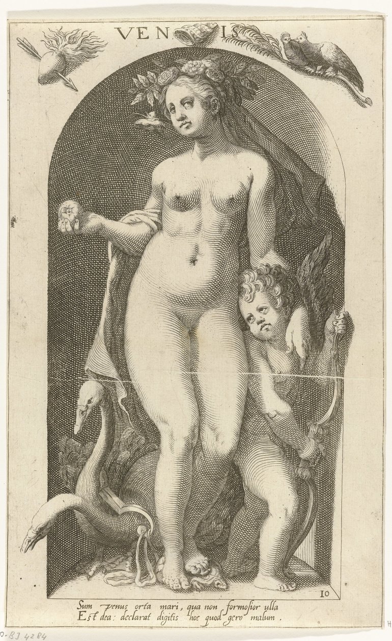 Venus Venis (titel på objekt) Ancient Gods (serietitel) af Nicolaas Braeu