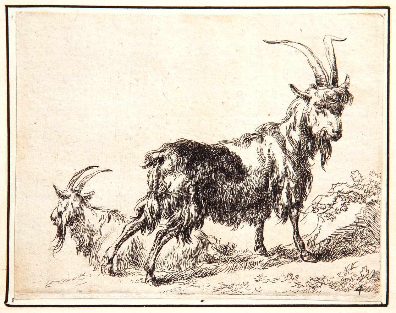 Geder af Nicolaes Pietersz. Berchem