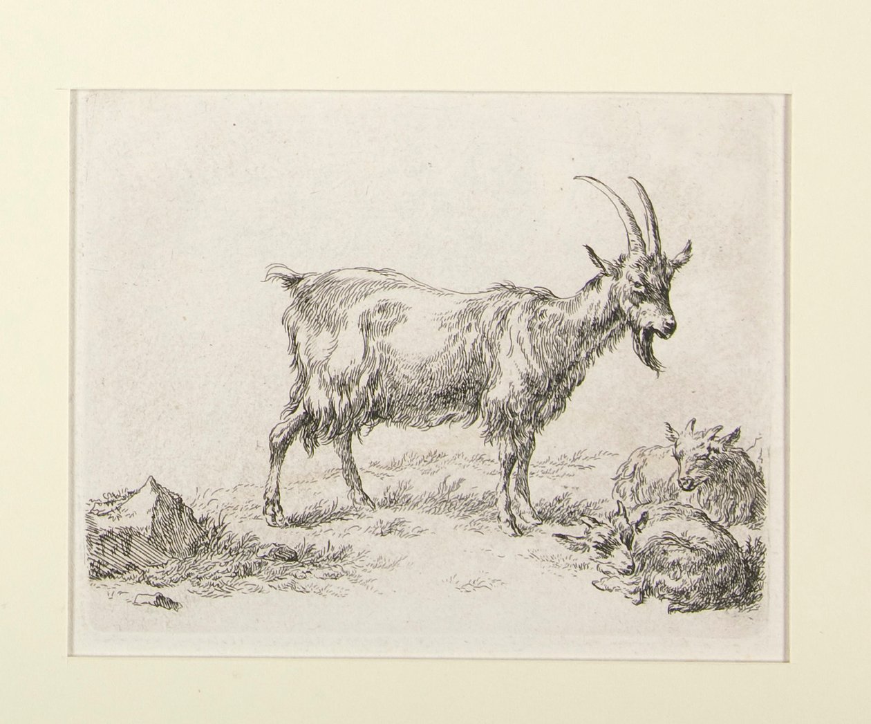 6 raderinger fra af Nicolaes Berchem