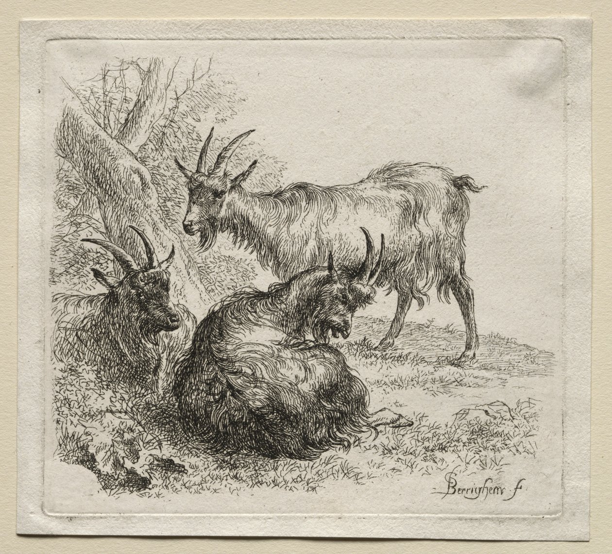 Animalia: Tre geder af Nicolaes Berchem