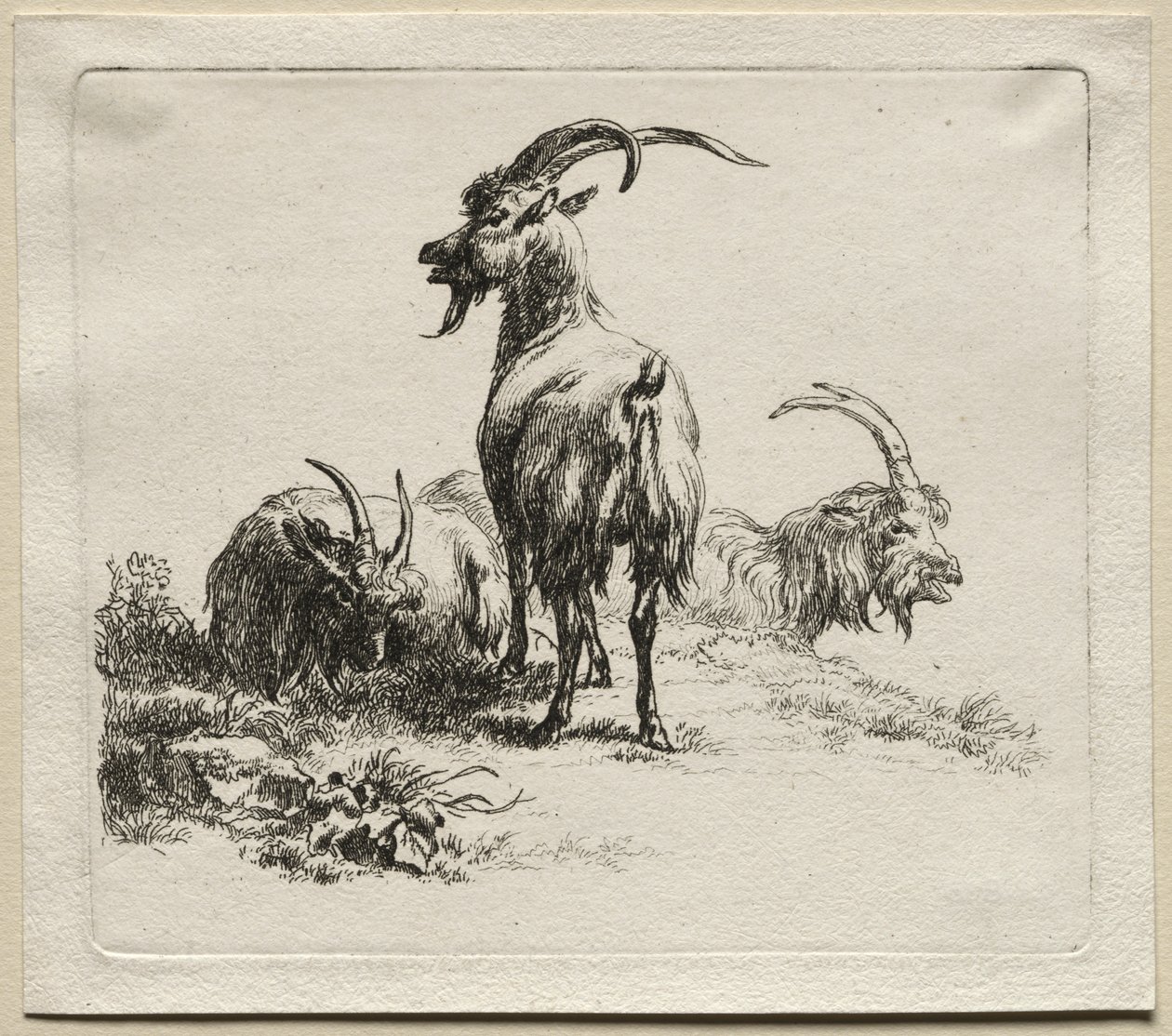 Animalia: Tre geder af Nicolaes Berchem