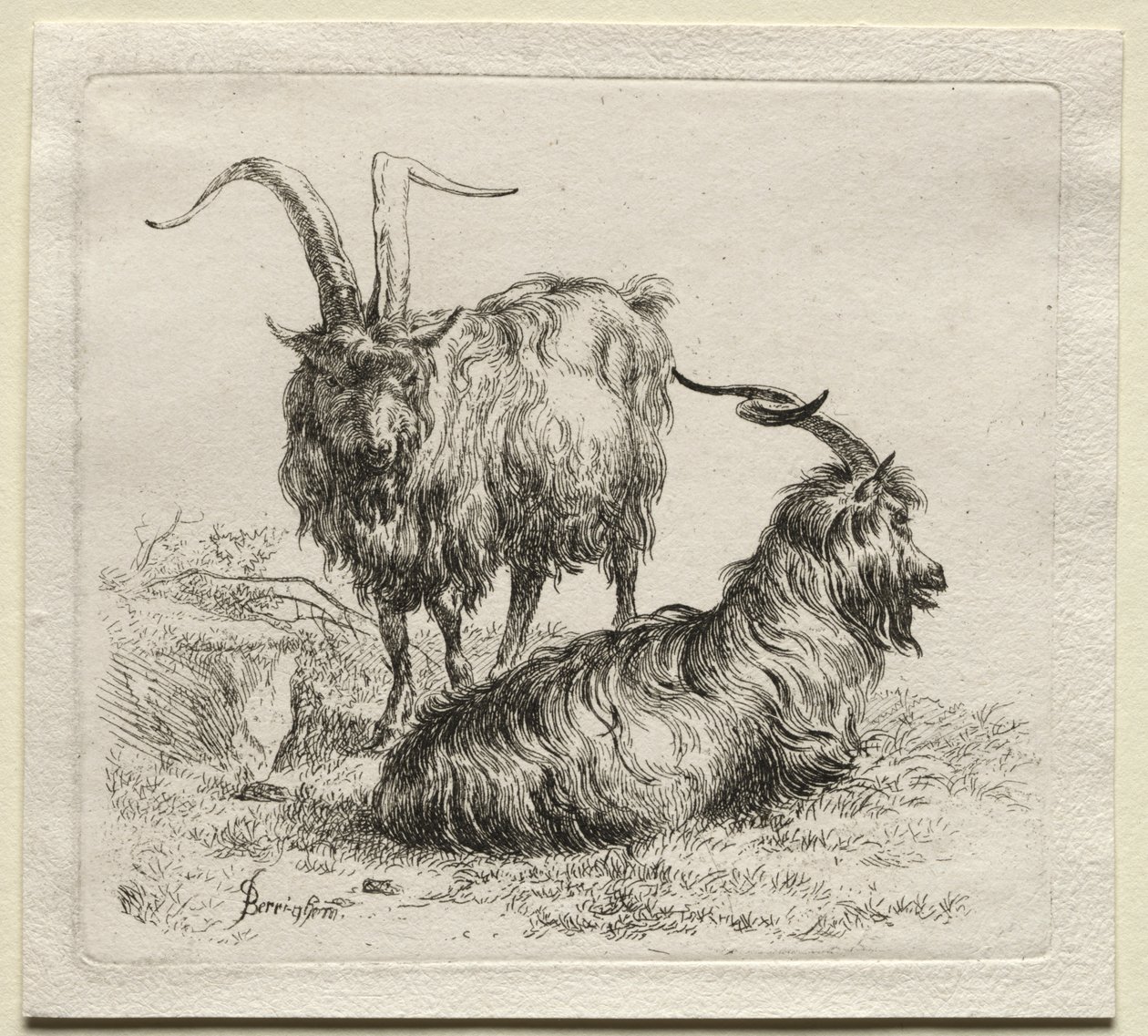 Animalia: To geder af Nicolaes Berchem