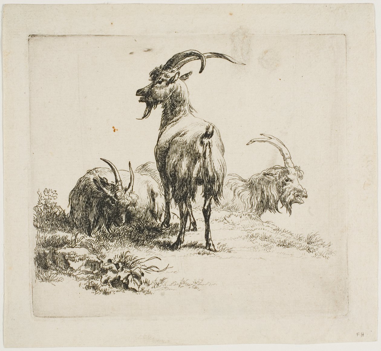 Geder, fra forskellige dyr af Nicolaes Berchem