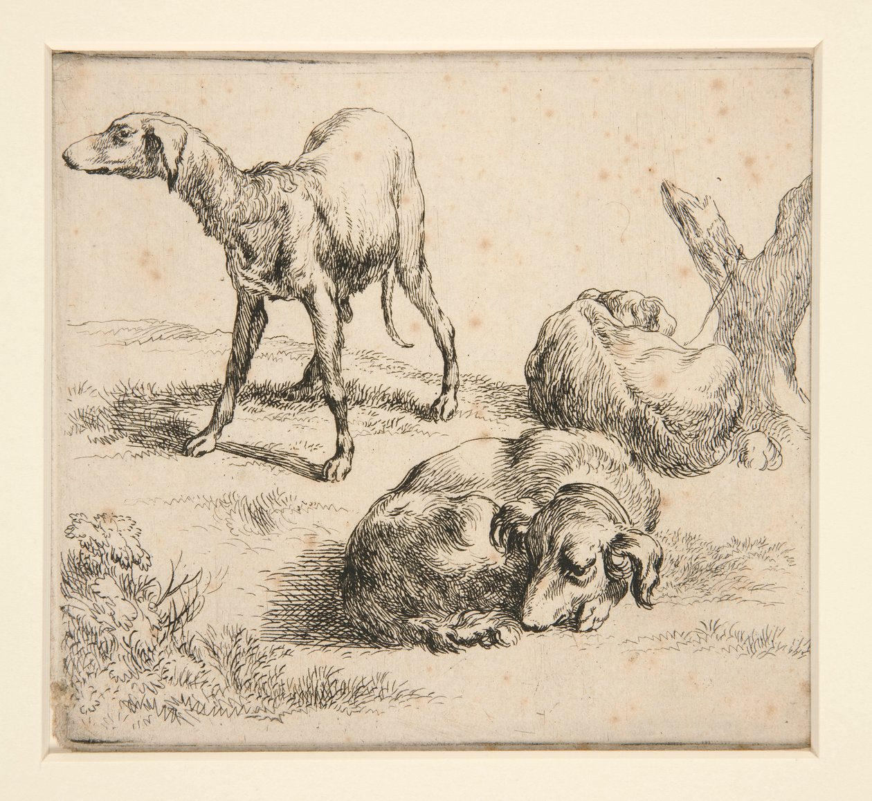 Tre jagthunde (fra af Nicolaes Berchem