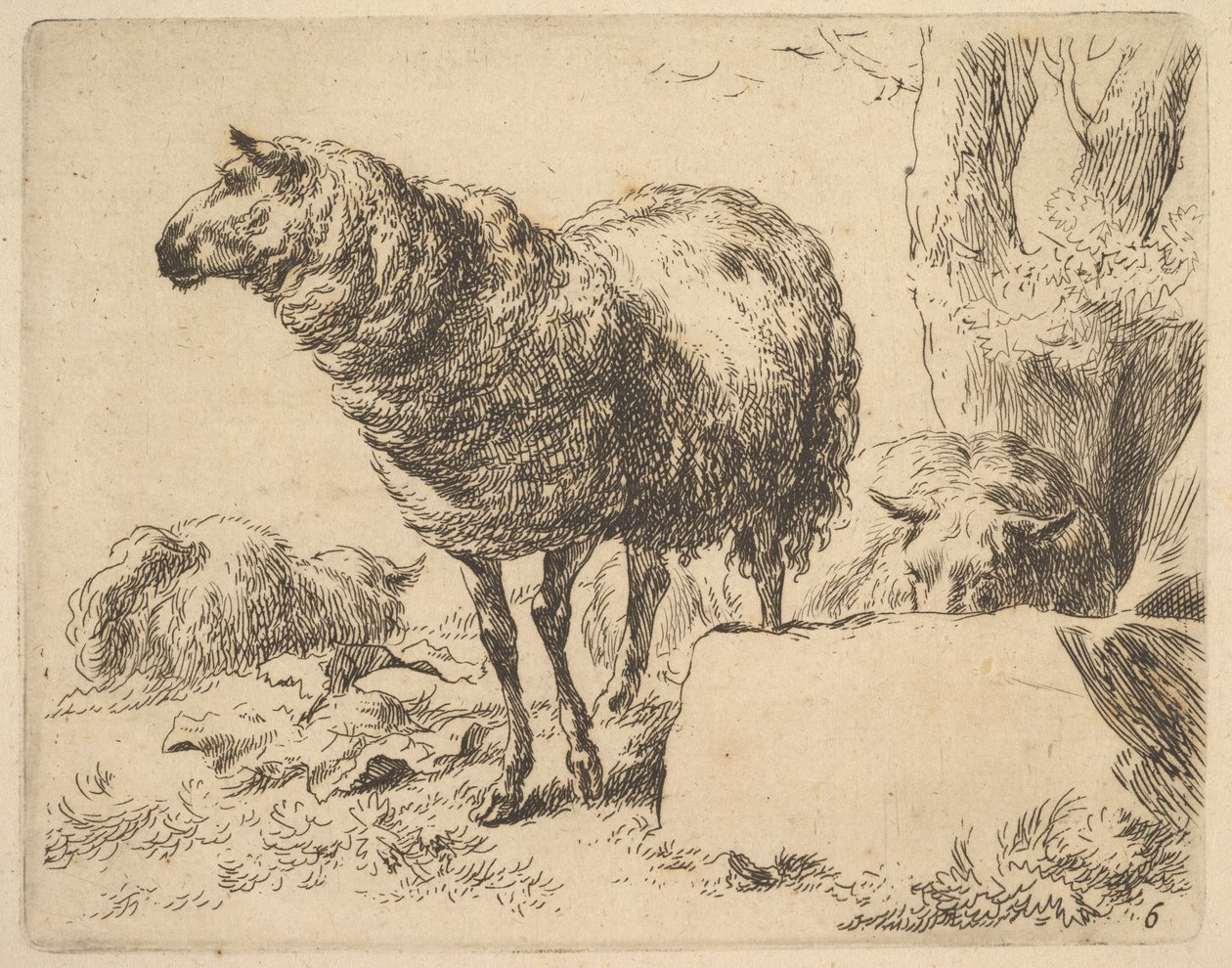 fra The Set of Sheep. af Nicolaes Berchem