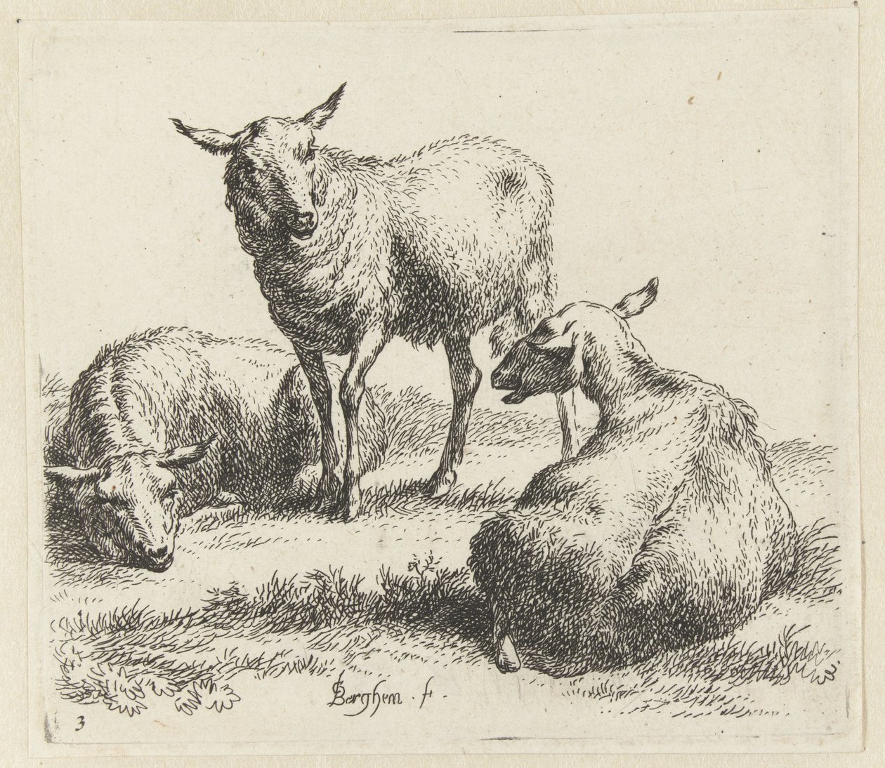 Tør fårene Schapen (serietitel) Dyr draget til livet og trykt i vand af stærk luft af Nicolai Berchems atelier og kunst (serietitel) af Nicolaes Pietersz Berchem