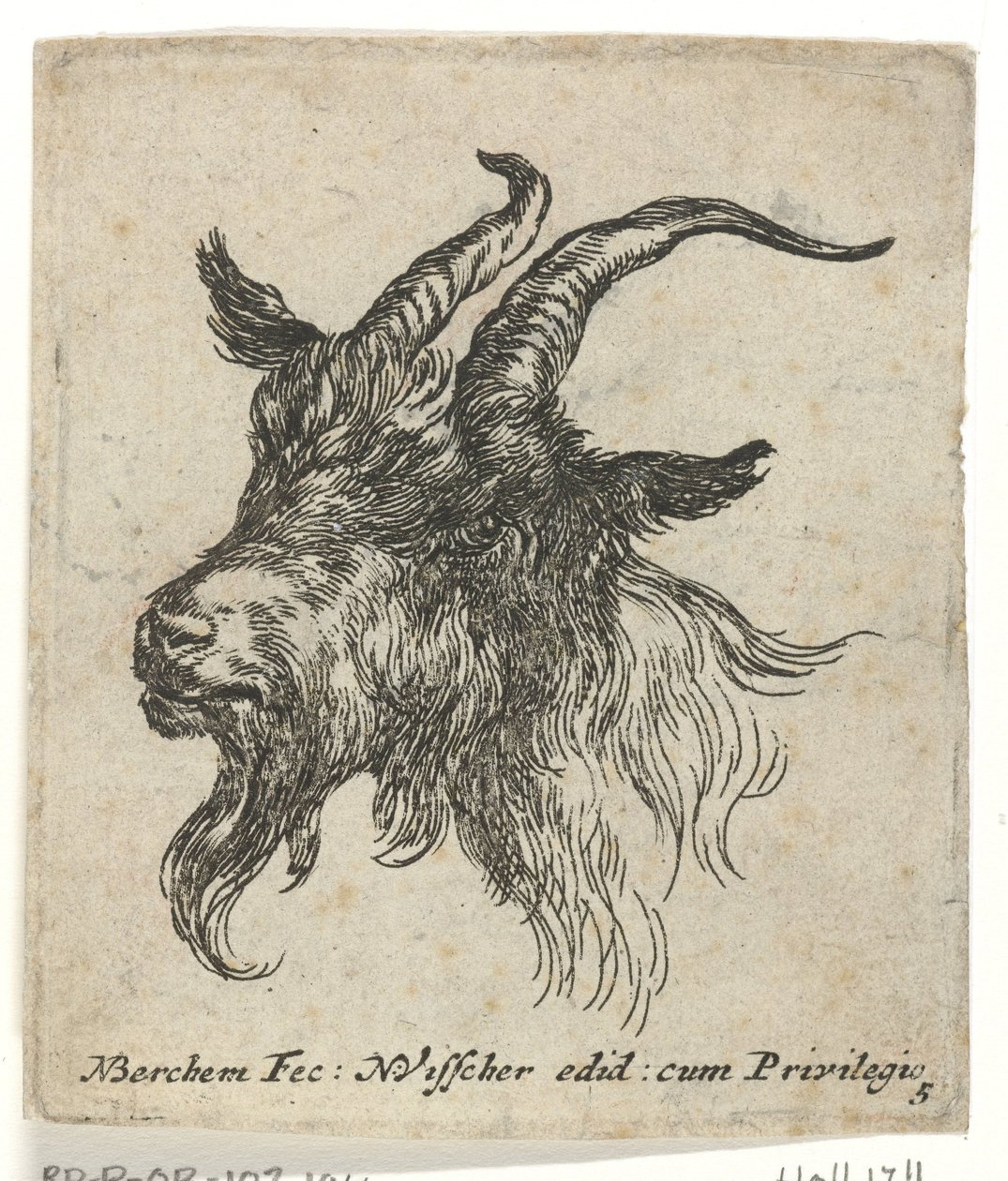 Hovedet af en ged Dyr (serietitel) af Nicolaes Pietersz Berchem