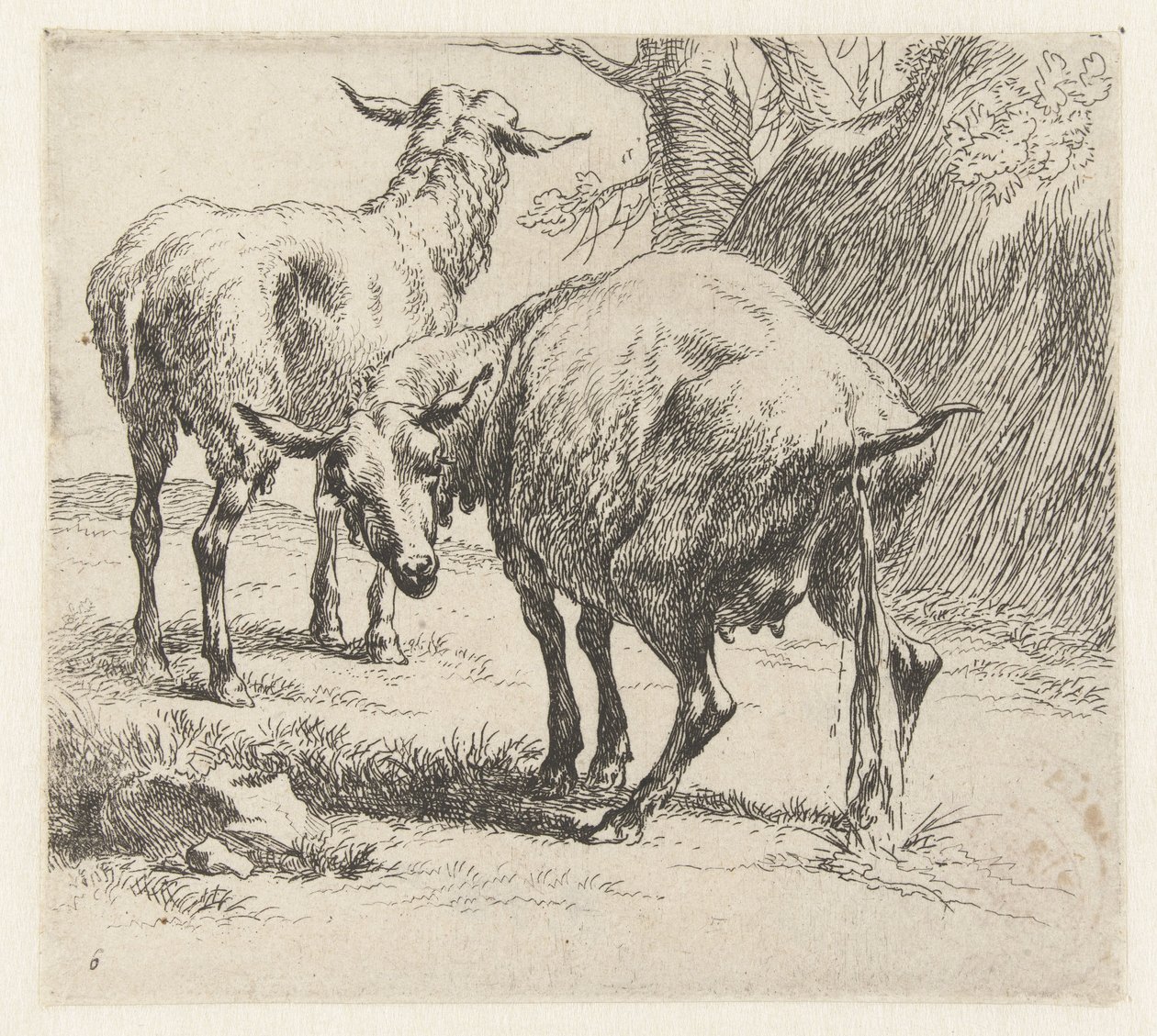 Pissende ooi en een schaap Schapen (serietitel) Dyr draget til livet og trykt i vand af stærk luft af Nicolai Berchems atelier og kunst (serietitel) af Nicolaes Pietersz Berchem