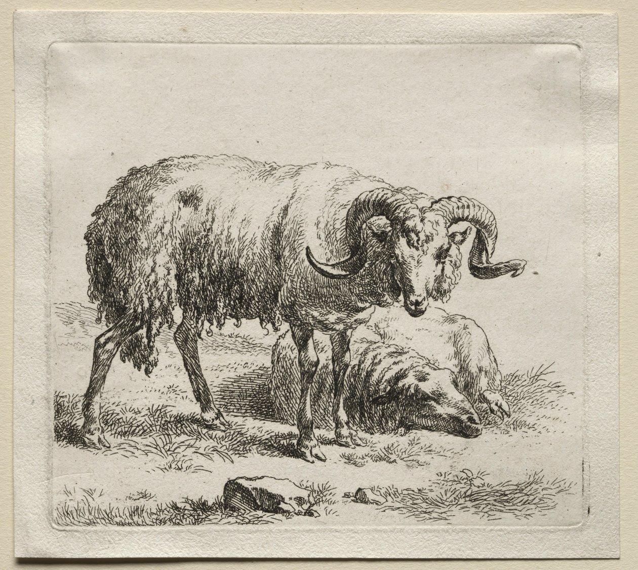 Vædder og får. af Nicolaes Pietersz. Berchem