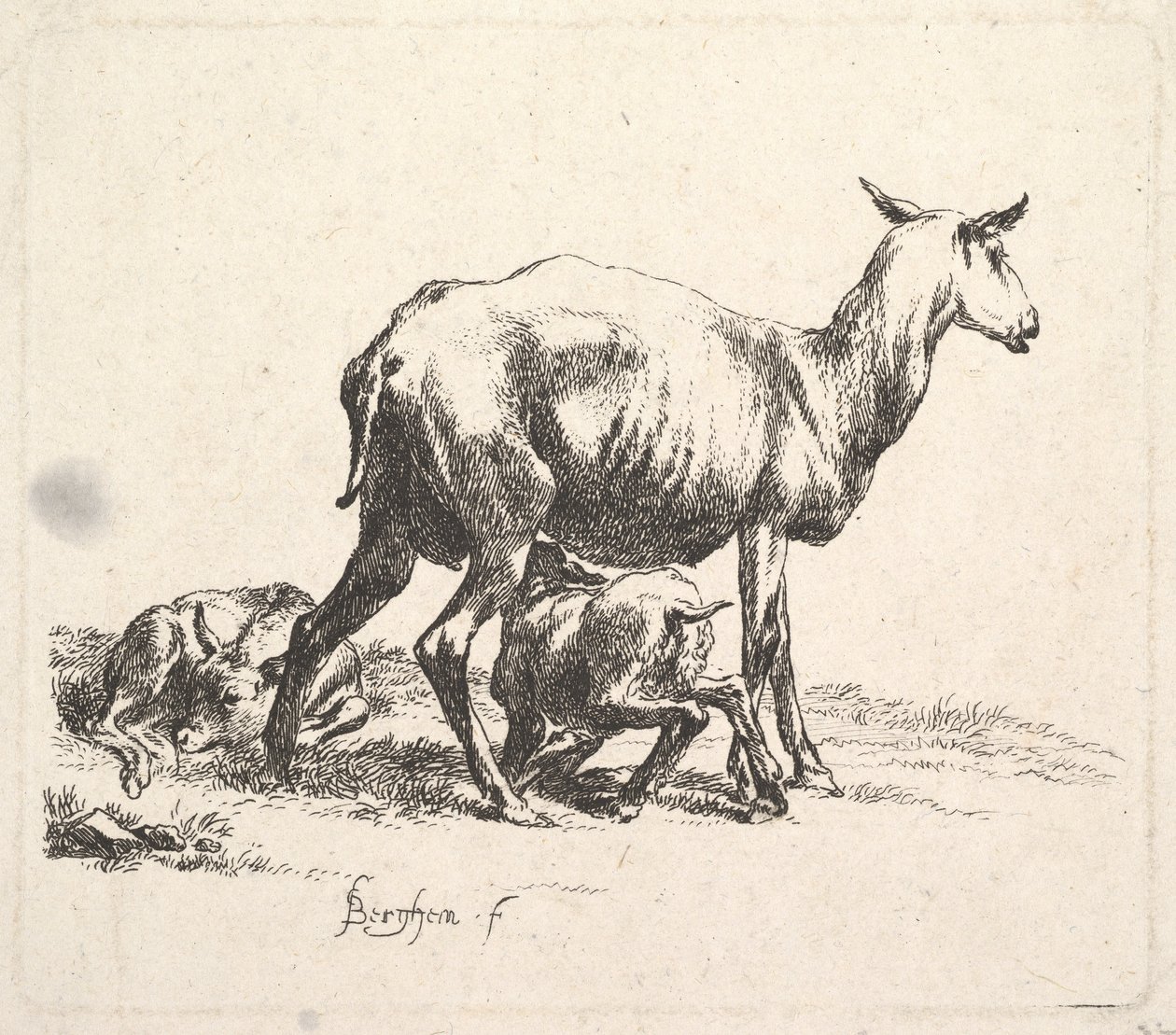 Får med Lammepleje. af Nicolaes Pietersz. Berchem