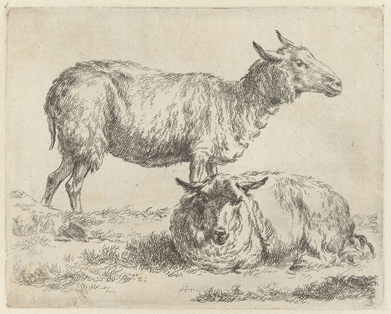 Staand en liggend schaap Schapen (serietitel) Dyr draget til livet og trykt i vand af stærk luft af Nicolai Berchems atelier og kunst (serietitel) af Nicolaes Pietersz Berchem