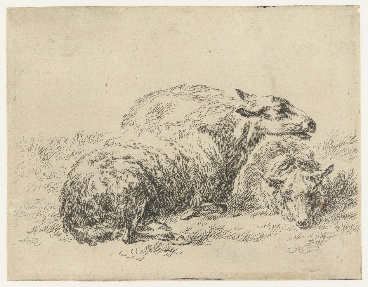 Twee Liggende Schapen Schapen (serietitel) Dyr til en levende afgrænsning og vandets vand, luften, imponerede undersøgelsen og dygtigheden Nicholas Berchemi (serietitel) af Nicolaes Pietersz Berchem