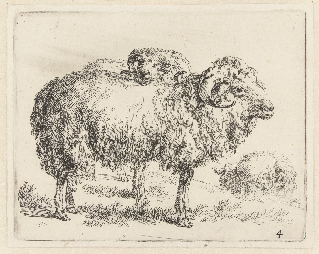 Twee rammen en een schaap Schapen (serietitel) Dyr draget til livet og trykt i vand af stærk luft af Nicolai Berchems atelier og kunst (serietitel) af Nicolaes Pietersz Berchem