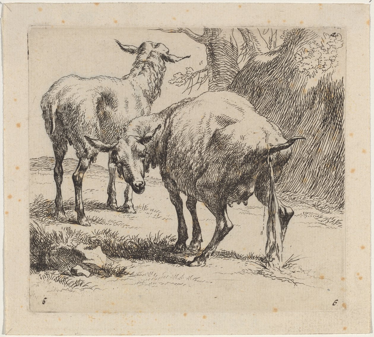 To får, et pisser af Nicolaes Pietersz Berchem