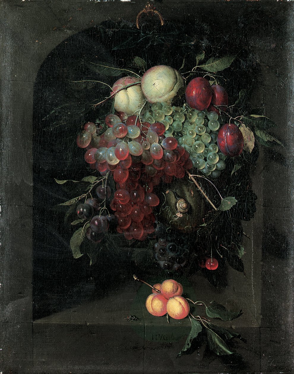 Swag af druer, ferskner, blommer og kirsebær med en snegl i en stenniche med en flok abrikoser og bi på en afsats, 1666 af Nicolaes Van Gelder