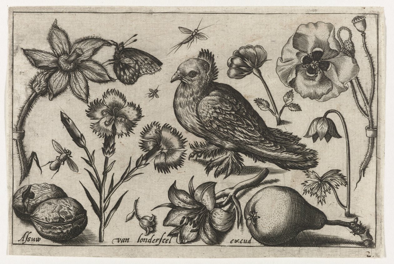 Blomster, en pære og en due Fugle, blomster, insekter etc. (serietitel) af Nicolaes de Bruyn (possibly)