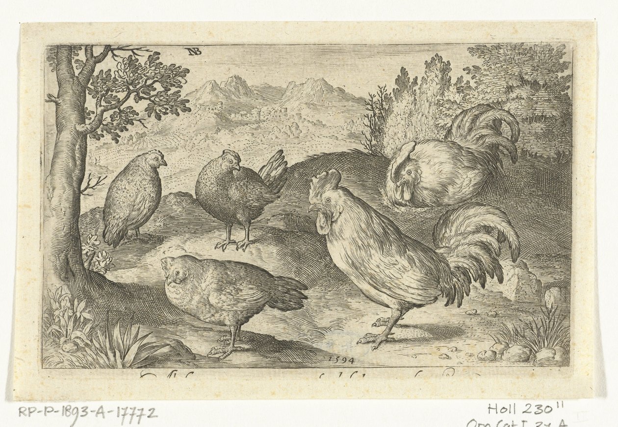 Tre høns og to haner Fugle og insekter (serietitel) af Nicolaes de Bruyn