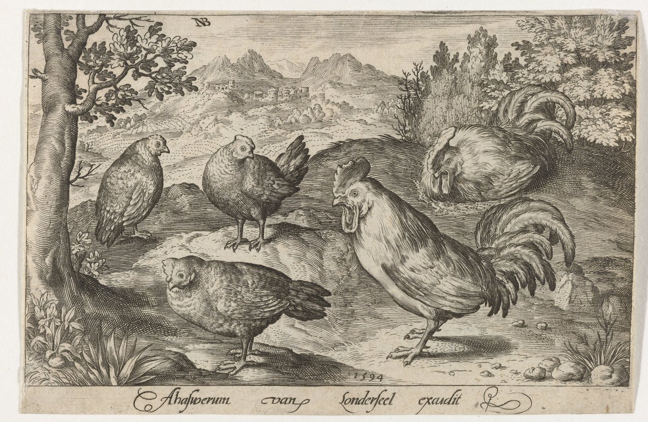 Tre høns og to haner Fugle og insekter (serietitel) af Nicolaes de Bruyn