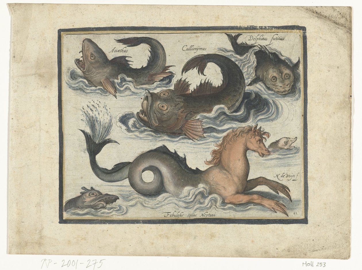 Fantastiske vanddyr, inklusive søhest Libelivs diverse Genera piscium complectens (serietitel) Ferskvandsfisk, havfisk, frøer, krebsdyr og havdyr (serietitel) af Nicolaes de Bruyn