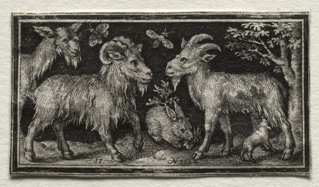 Geder og Hare af Nicolaes de Bruyn