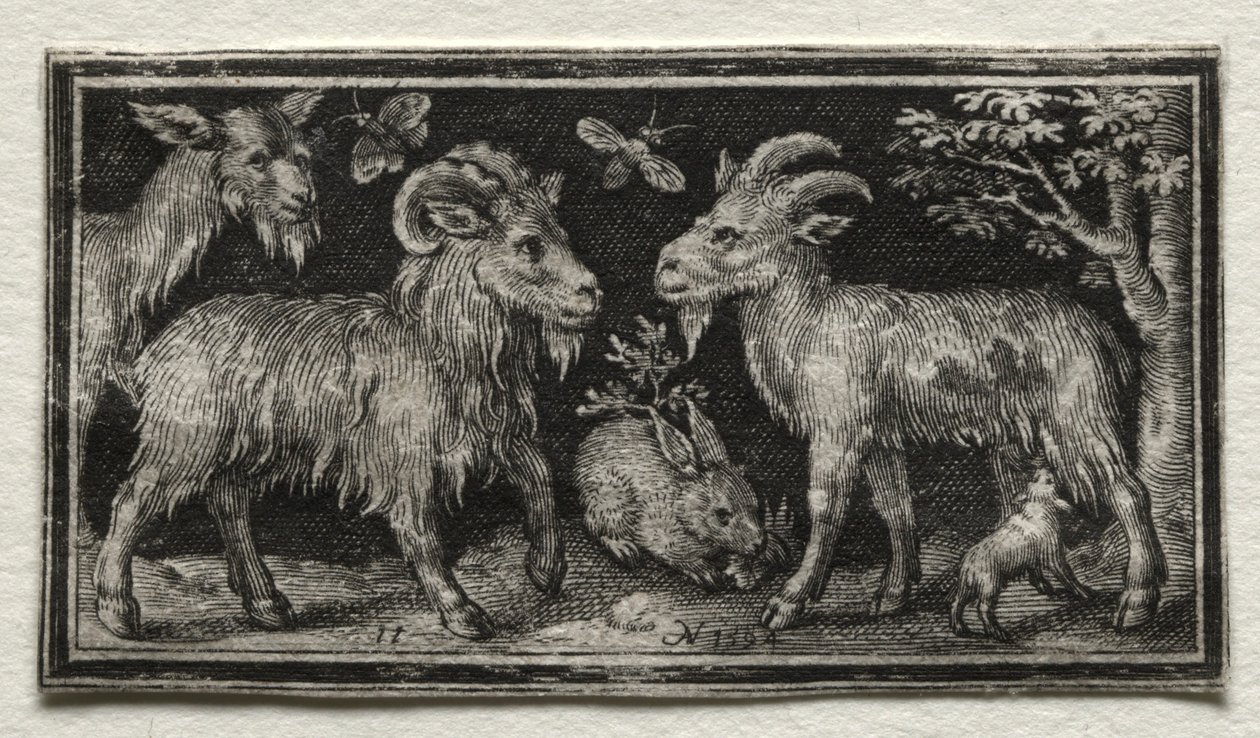 Geder og Hare, 1594. af Nicolaes de Bruyn
