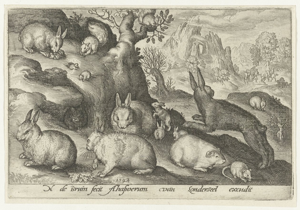 Kaniner, egern, marsvin og mus Animalivm qvadrvpedvm (serietitel) Dyr i landskaber (serietitel) af Nicolaes de Bruyn