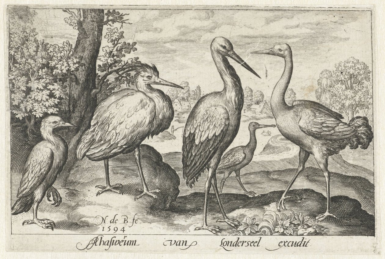 Stork, trane, hejre og skestork Fugle og insekter (serietitel) af Nicolaes de Bruyn