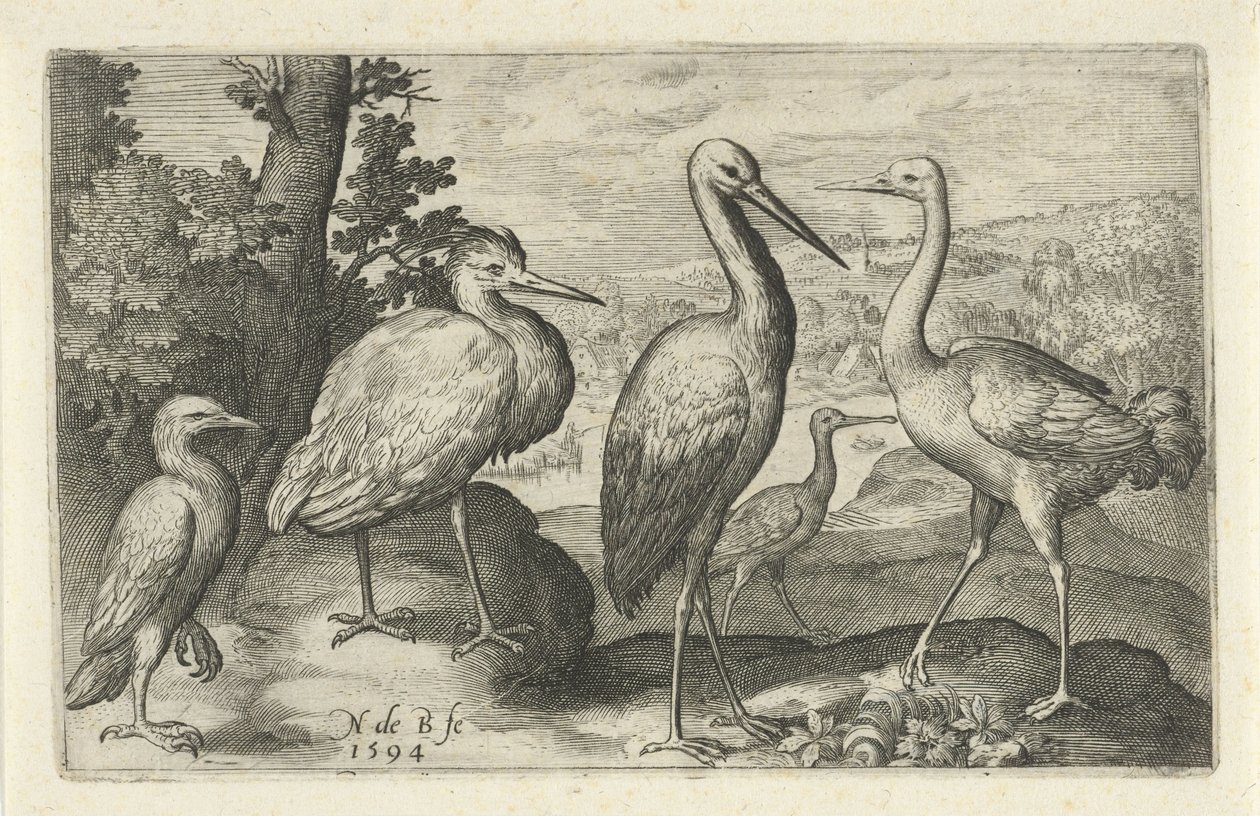 Stork, trane, hejre og skestork Fugle og insekter (serietitel) af Nicolaes de Bruyn