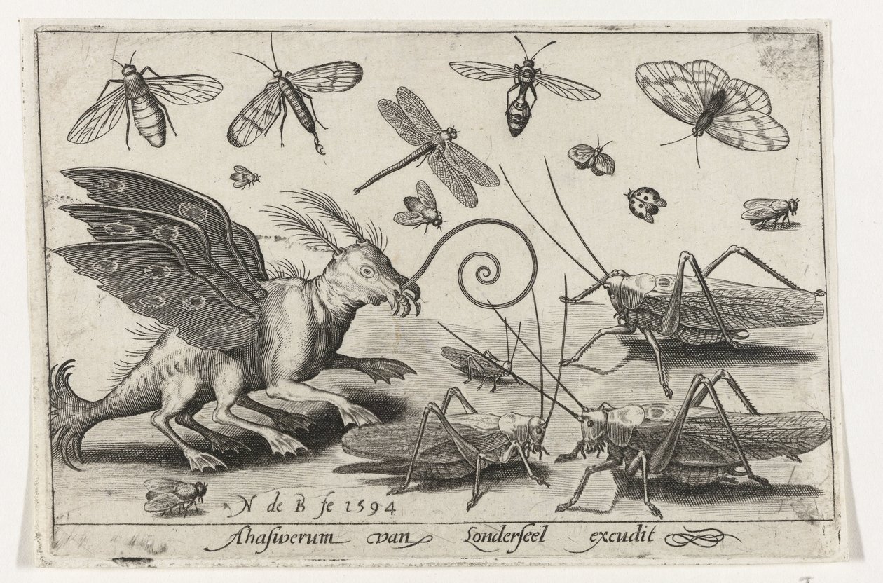 Græshopper og fantasivæsen med vinger og svømmehud Fugle og insekter (serietitel) af Nicolaes de Bruyn