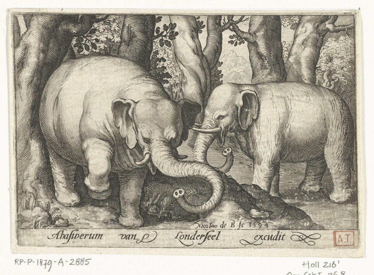 To elefanter Animalivm qvadrvpedvm (serietitel) Dyr i landskaber (serietitel) af Nicolaes de Bruyn
