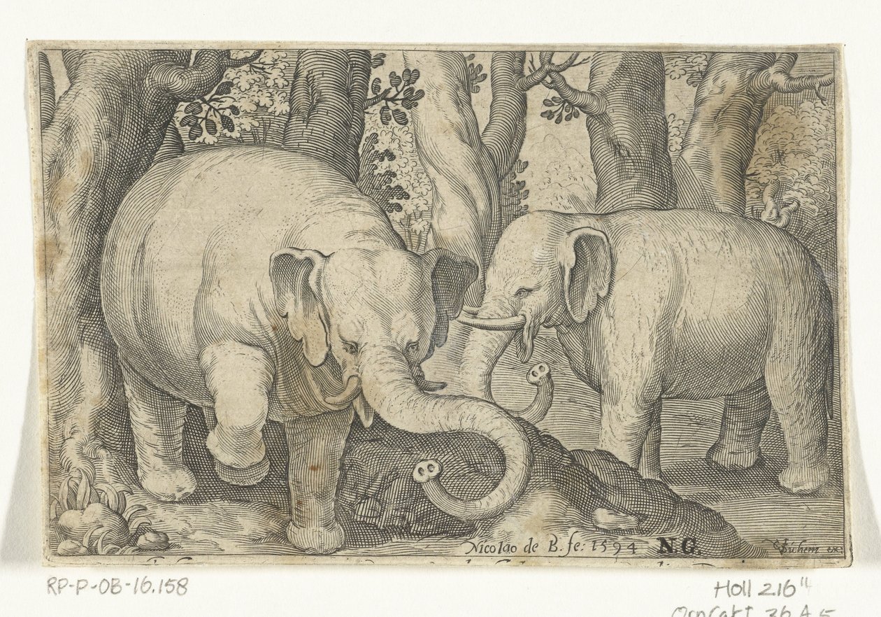 To elefanter Animalivm qvadrvpedvm (serietitel) Dyr i landskaber (serietitel) af Nicolaes de Bruyn