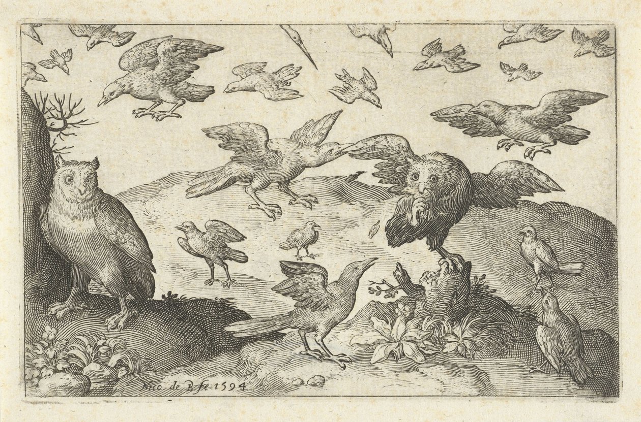 Ugle med bytte forfanget af andre fugle Fugle og insekter (serietitel) af Nicolaes de Bruyn
