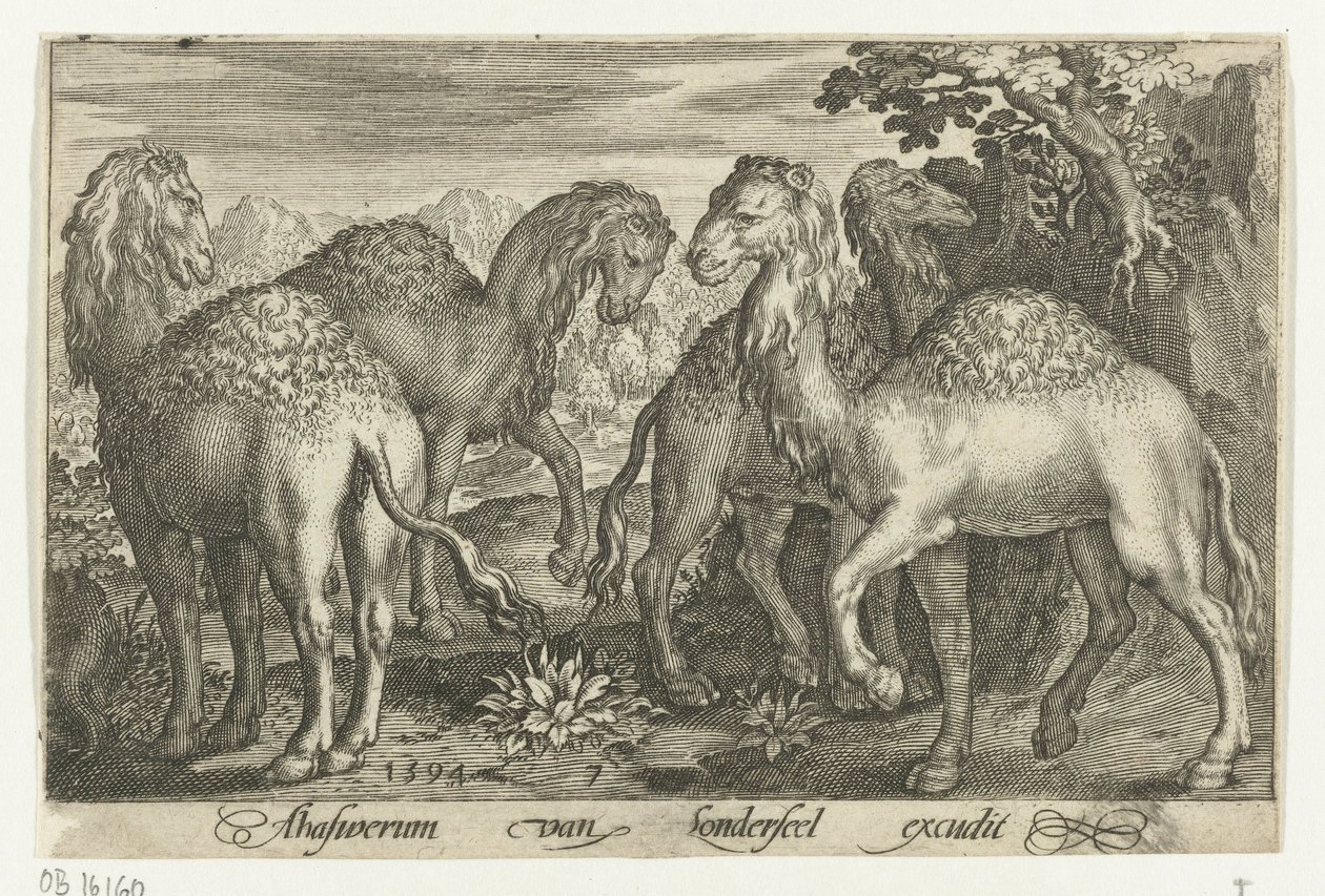 Fire dromedarer Animalivm qvadrvpedvm (serietitel) Dyr i landskaber (serietitel) af Nicolaes de Bruyn