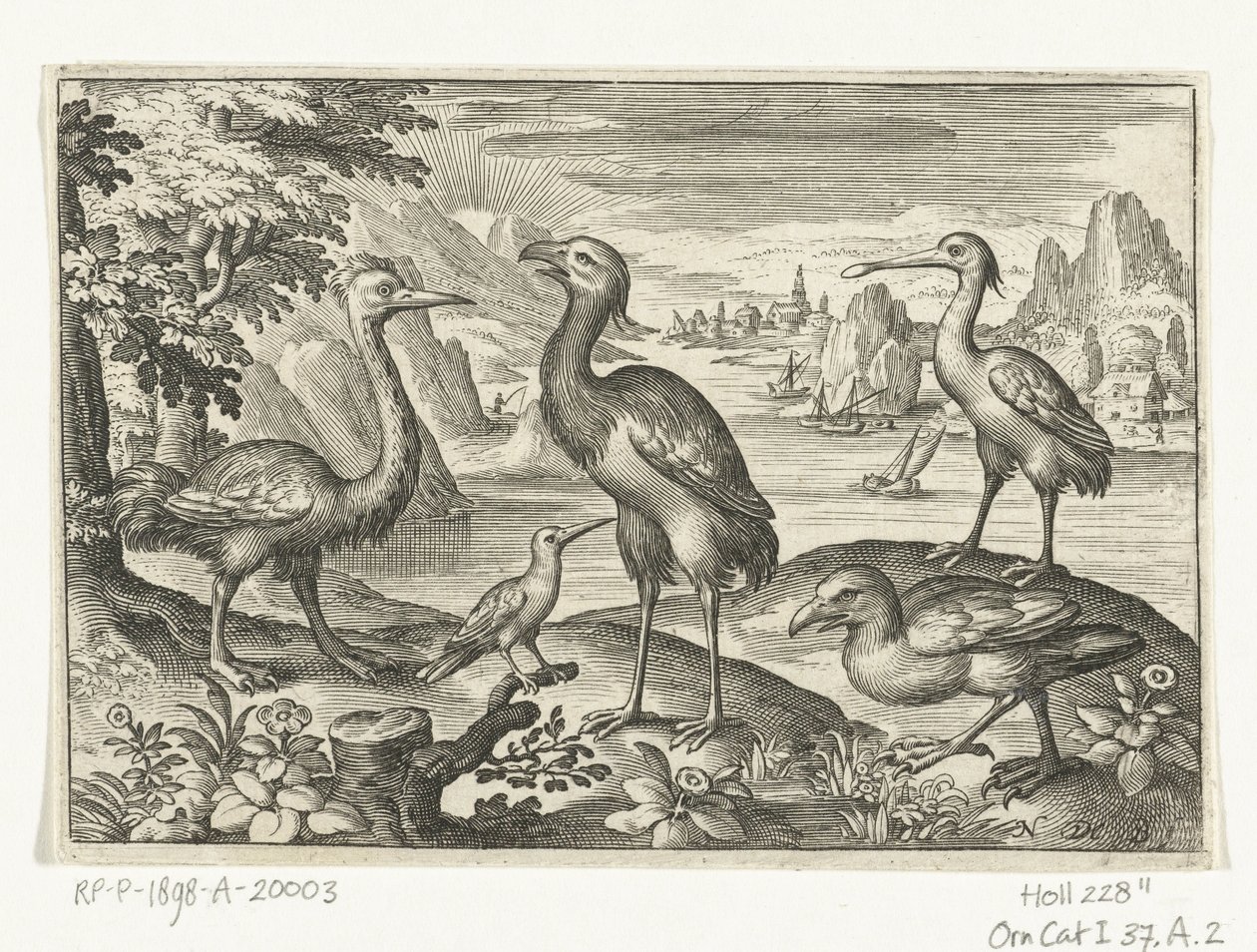 Fem fugle inklusive skestork Fugle og insekter (serietitel) af Nicolaes de Bruyn
