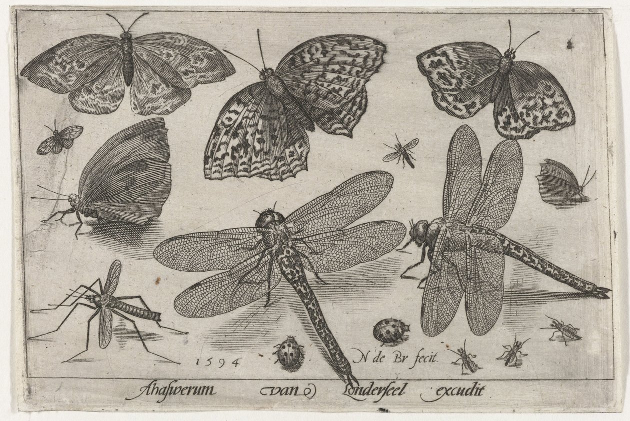 Sommerfugle og guldsmede Fugle og insekter (serietitel) af Nicolaes de Bruyn