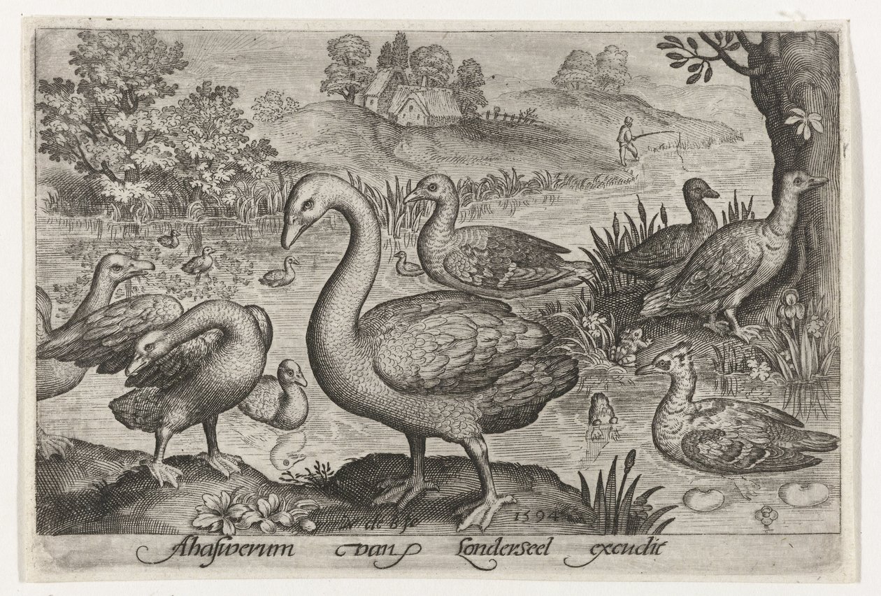 Svane og gæs og ænder ved vandet Fugle og insekter (serietitel) af Nicolaes de Bruyn