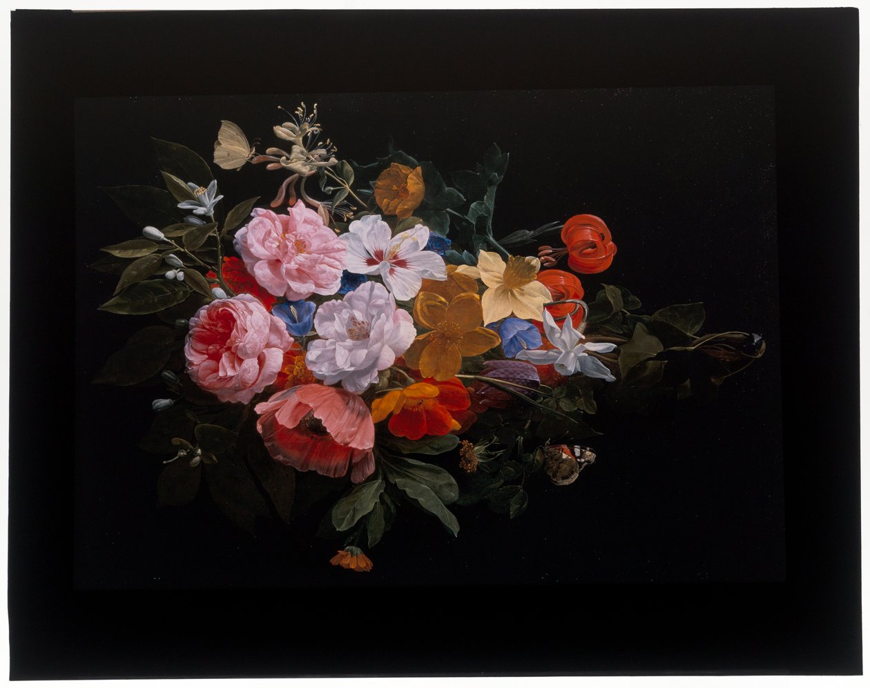 En feston af roser, kaprifolier, liljer, narcisser, morgenfrue, en slangehoved-fritillary af Nicolaes van Veerendael