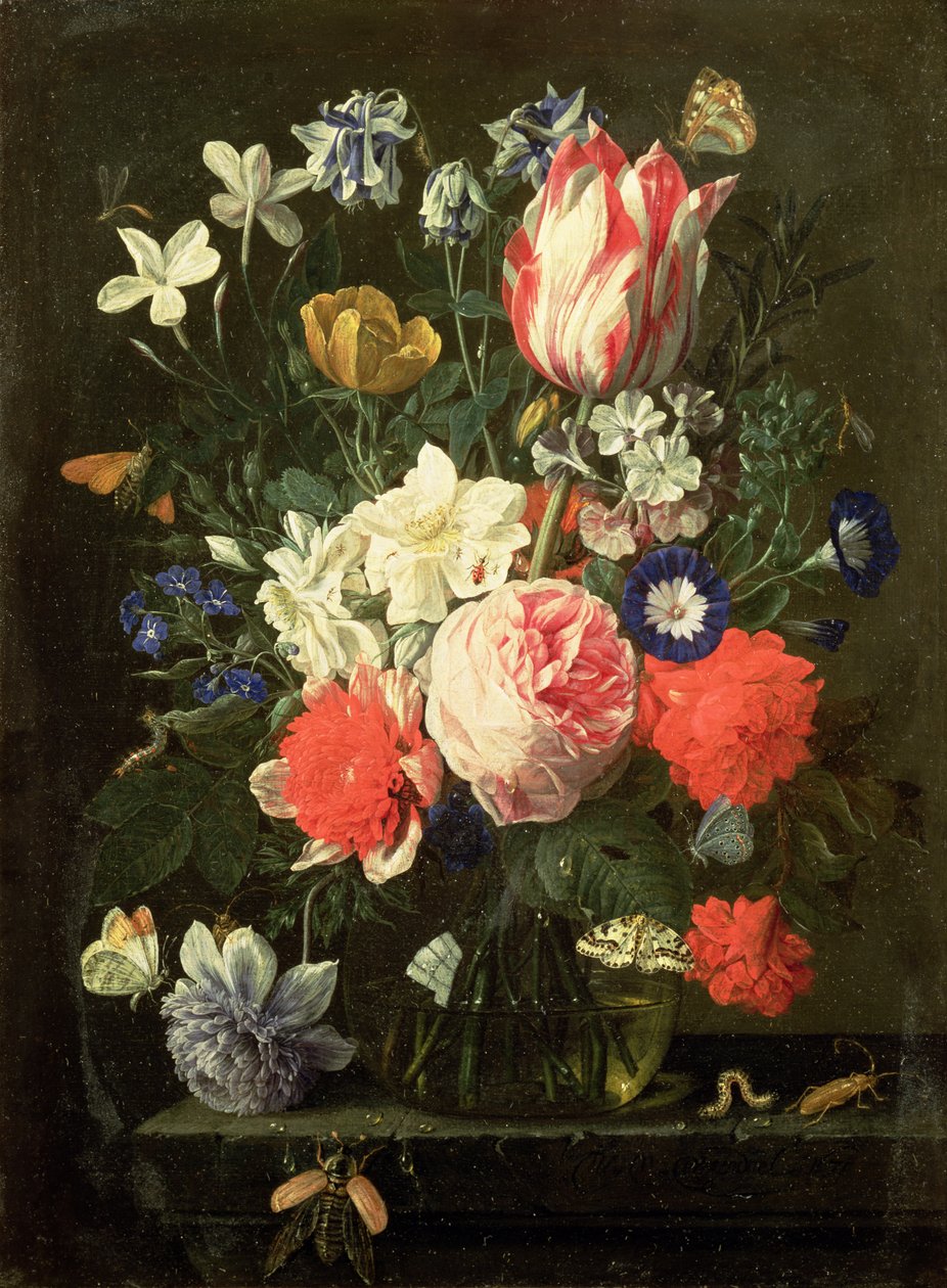 Ukendt billede af Nicolaes van Veerendael